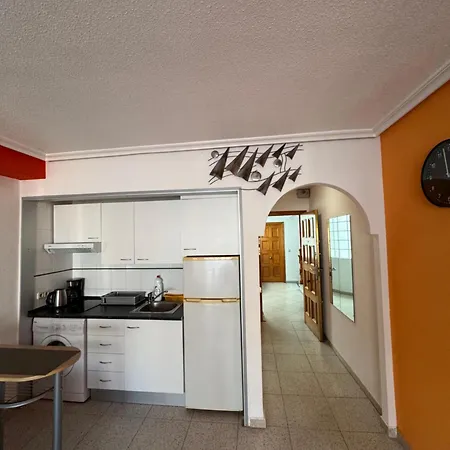 Concordia تورّيفيِخا