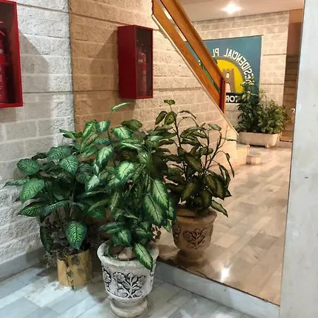 Concordia Apartment